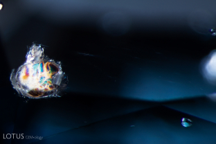 This crystal displays multicolored iridescence on its surface when illuminated with fiber optic light. Analysis with micro Raman revealed that this crystal is phlogopite mica.