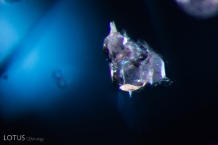 This cluster of blocky transparent crystals was identified as apatite using Raman spectroscopy.