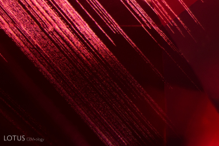 Streams of small particles create a striking pattern in this spinel from Tanzania.
