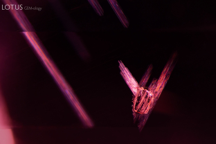 I believe I can fly. A dolomite crystal (identified with micro Raman) appears to take flight as it is flanked by dislocation needle “wings.”