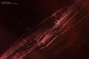 Streams of fine particles form delicate waves in this spinel. Note that the streams are made of tiny dislocation needles.