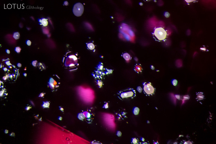 Thin films, as seen here, are a classic inclusion in Thai/Cambodian ruby.