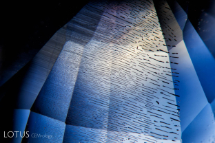 Fingerprints are actually networks of tiny negative crystals produced by the healing of a fissure. This is a classic example in a Kashmir sapphire.