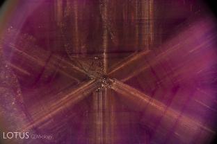 A lovely fixed star is found in this trapiche ruby from Pakistan.