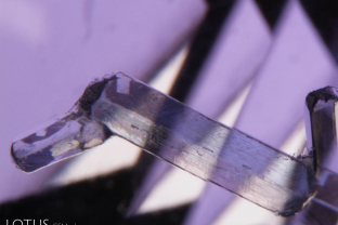 Lovely apatite prisms enrich the interior of this purple spinel from Sri Lanka’s gem gravels. Apatite is a common guest in spinel.