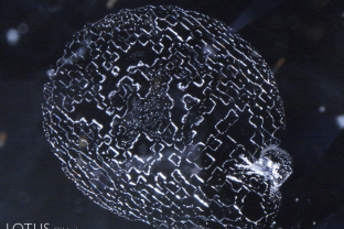 A prominent, intricate fingerprint pattern consisting of interconnected communication tubes extending from a mineral inclusion nucleus serves to confirm that this Sri Lankan spinel is natural. The form taken by the tubes reveals the isometric symmetry of the underlying spinel. 5X
