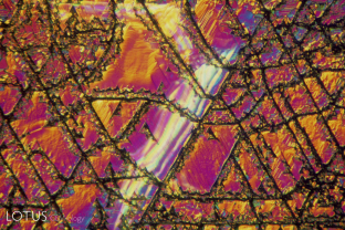 Rampant complex etching on the surface of a Montana sapphire from the Missouri River. The etching occurs where parting planes reach the surface. 40x.