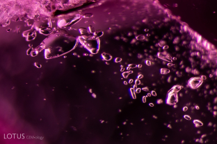 Several transparent crystals are present in this inclusion scene, shown here with dark field illumination. Analysis with micro Raman identified these crystals as calcite.