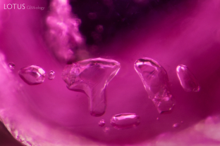A cluster of calcite crystals, identified with micro Raman, is suspended in this ruby from Myanmar. Calcite is a common inclusion in ruby from the Mogok area.