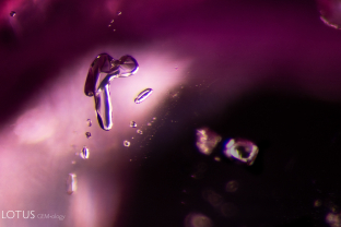 In this inclusion scene in a Mogok ruby, we can view a transparent scapolite crystal.