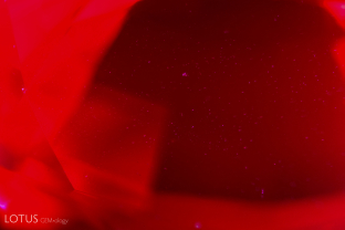 Tiny gas bubbles/particles in a Czochralski-grown synthetic corundum from Union Carbide.