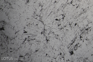 R-003-5869-1